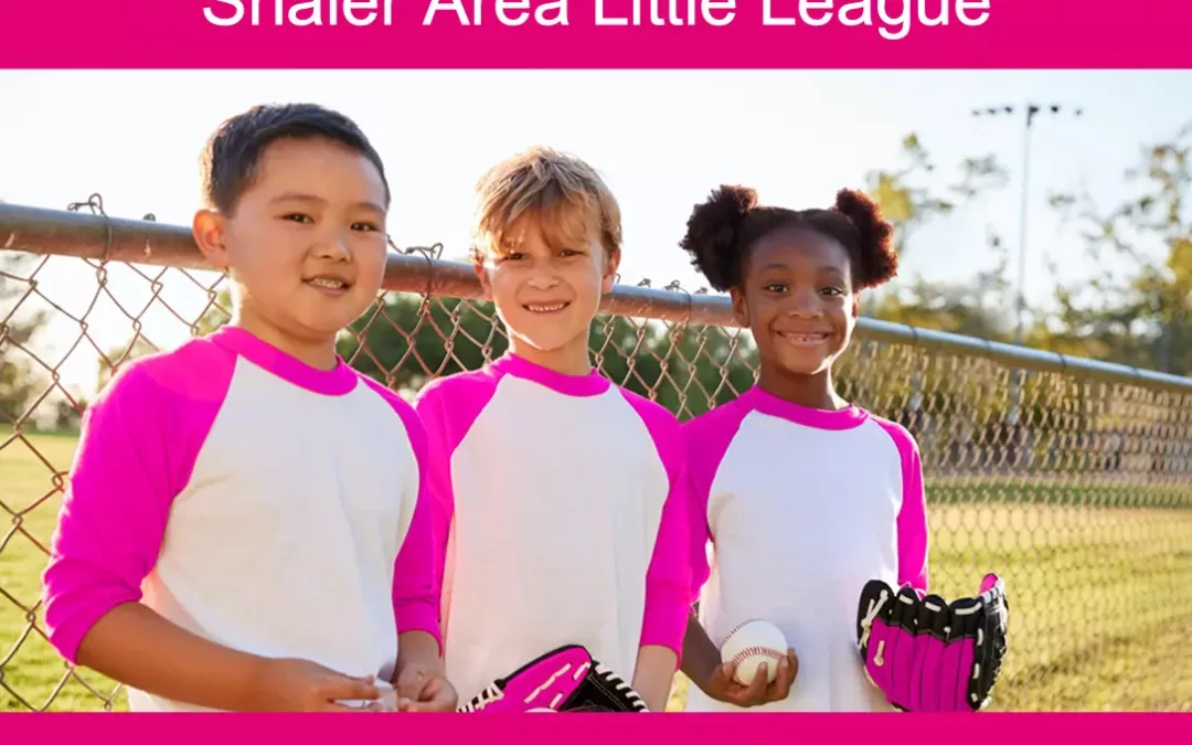 T-Mobile Little League Call Up Grant Program