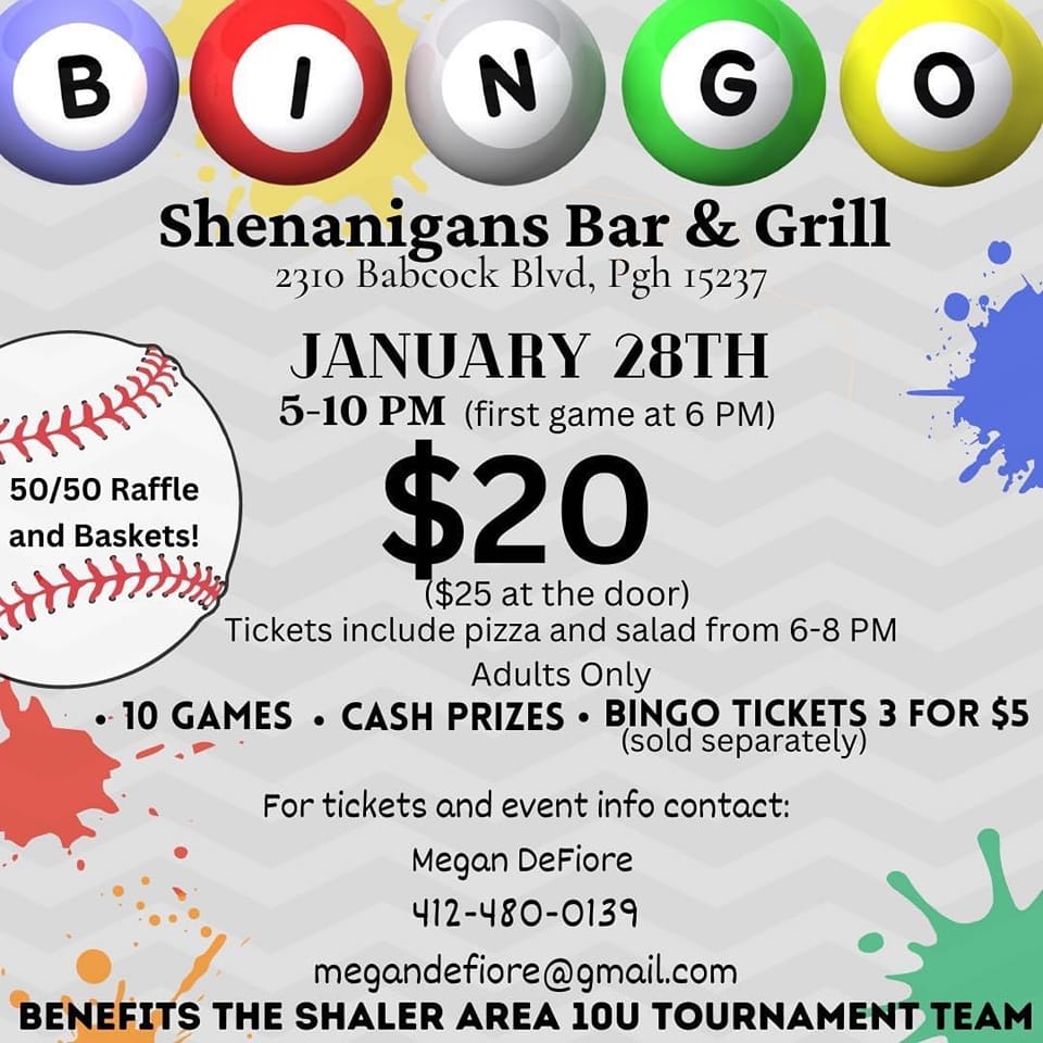 Shaler Area Little League 10u Baseball Tournament Fundraiser.