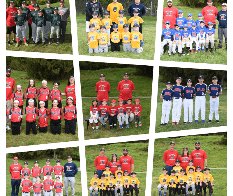 Saturday 5/14 Pictures @ Shaler Area Elementary School