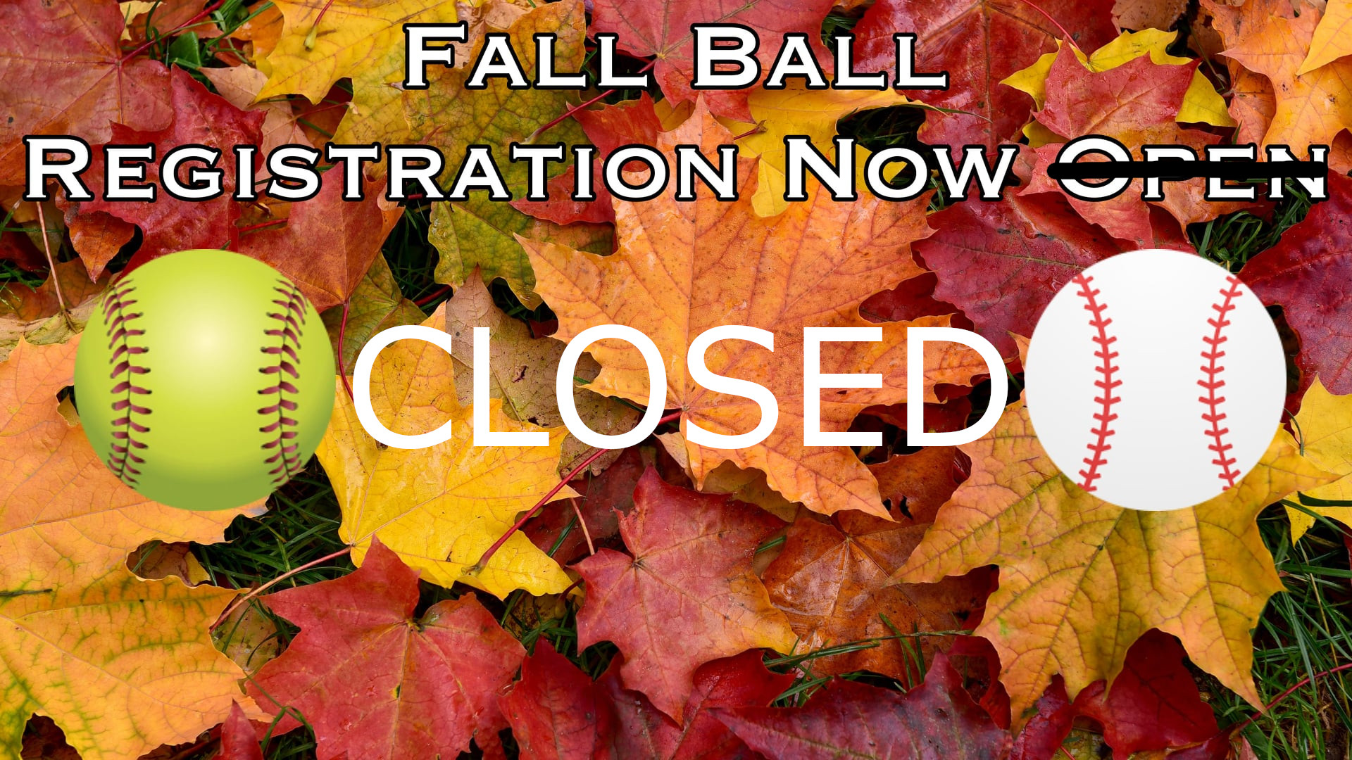 Missed Fall Ball Registration? You can still register.